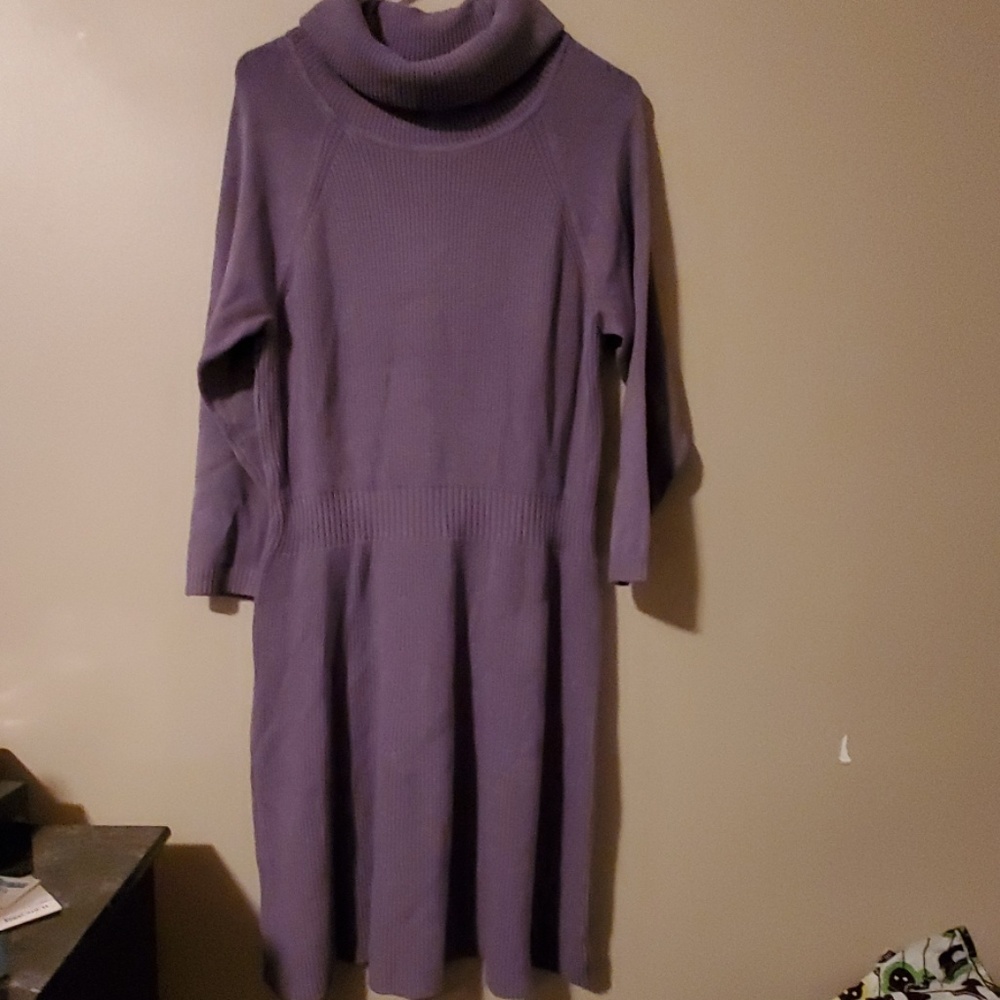 The limited turtleneck sweater dress